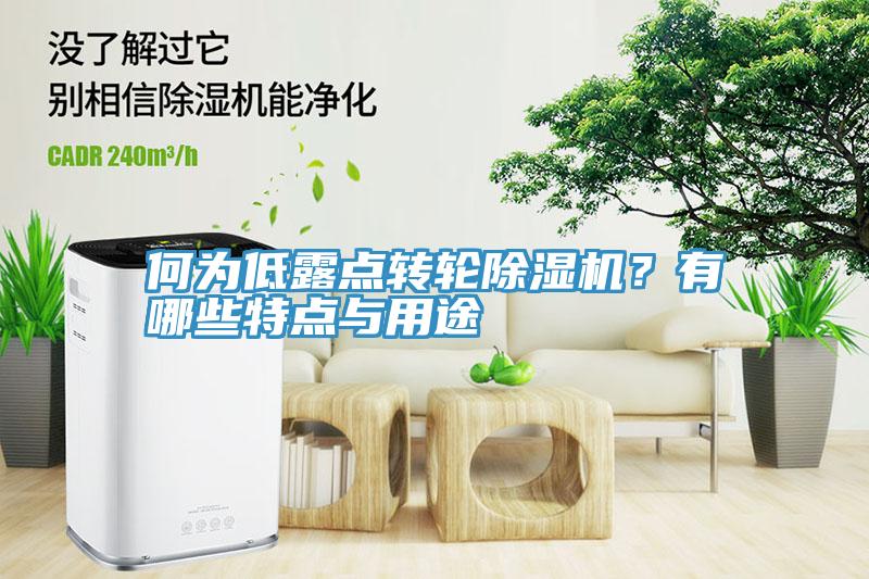 何為低露點(diǎn)轉(zhuǎn)輪除濕機(jī)？有哪些特點(diǎn)與用途