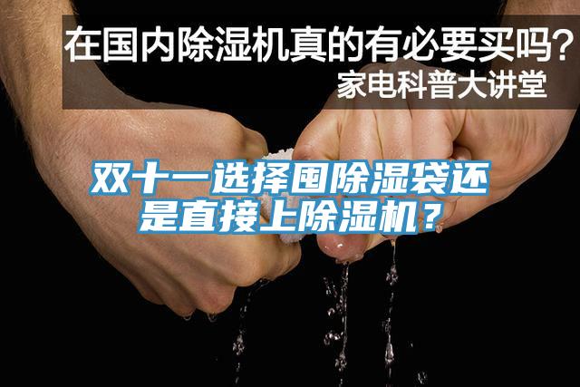 雙十一選擇囤除濕袋還是直接上除濕機(jī)？