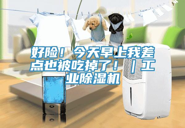 好險(xiǎn)！今天早上我差點(diǎn)也被吃掉了?。I(yè)除濕機(jī)