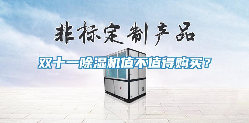 雙十一除濕機(jī)值不值得購買？