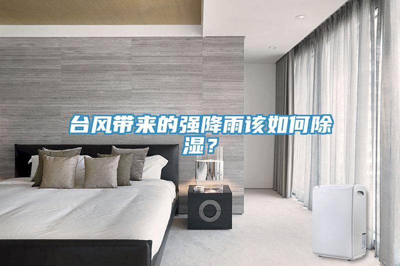 臺(tái)風(fēng)帶來(lái)的強(qiáng)降雨該如何除濕？