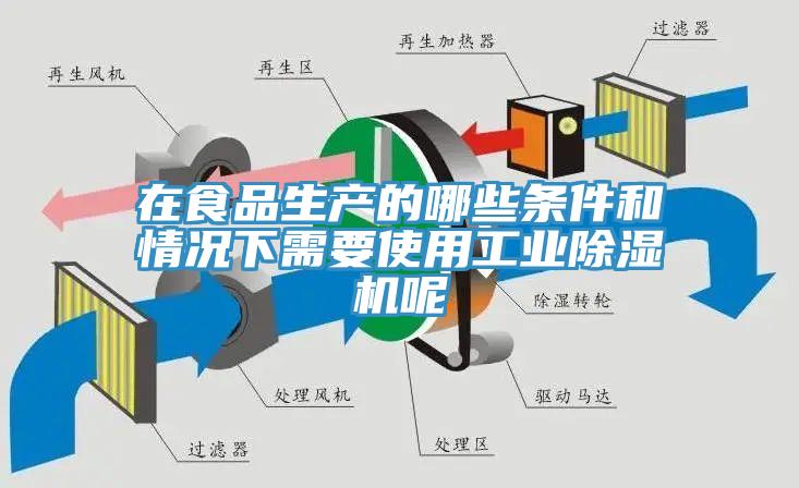 在食品生產的哪些條件和情況下需要使用工業(yè)除濕機呢