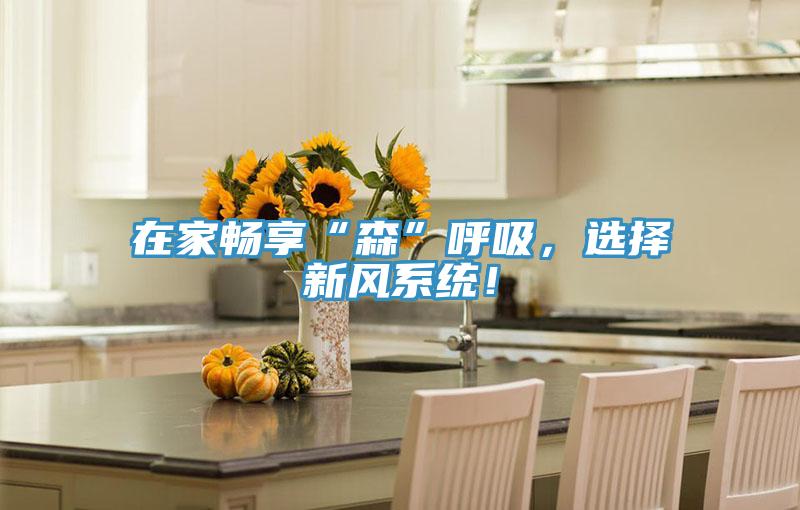 在家暢享“森”呼吸，選擇新風系統(tǒng)！
