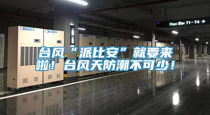 臺風(fēng)“派比安”就要來啦！臺風(fēng)天防潮不可少！