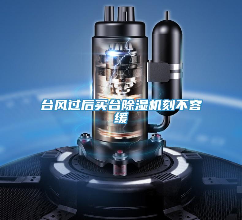臺風(fēng)過后買臺除濕機(jī)刻不容緩