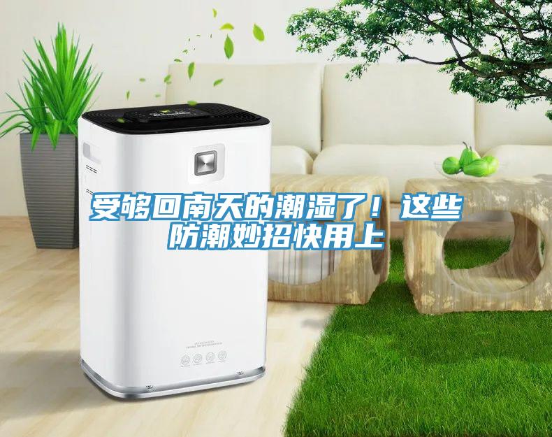 受夠回南天的潮濕了！這些防潮妙招快用上
