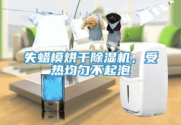失蠟?zāi)：娓沙凉駲C(jī)，受熱均勻不起泡