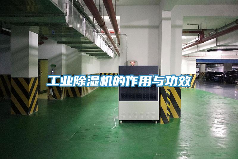 工業(yè)除濕機(jī)的作用與功效
