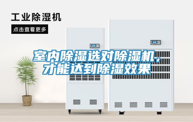 室內除濕選對除濕機，才能達到除濕效果