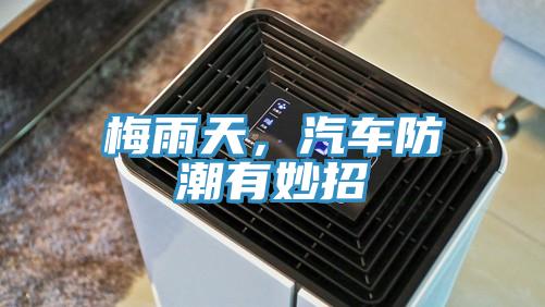 梅雨天，汽車防潮有妙招