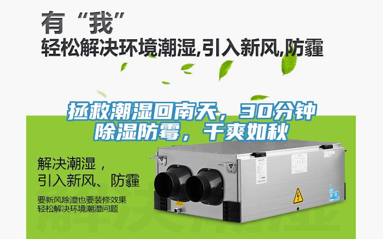 拯救潮濕回南天，30分鐘除濕防霉，干爽如秋