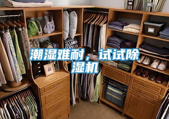 潮濕難耐，試試除濕機