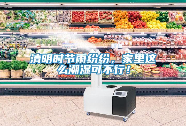 清明時(shí)節(jié)雨紛紛，家里這么潮濕可不行！