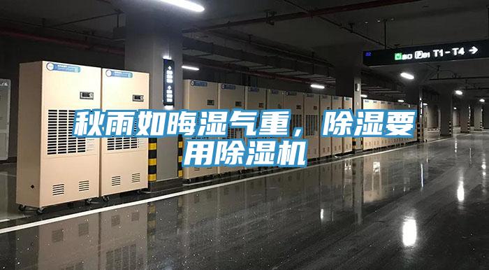 秋雨如晦濕氣重，除濕要用除濕機