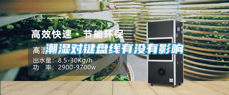 潮濕對(duì)鍵盤線有沒(méi)有影響