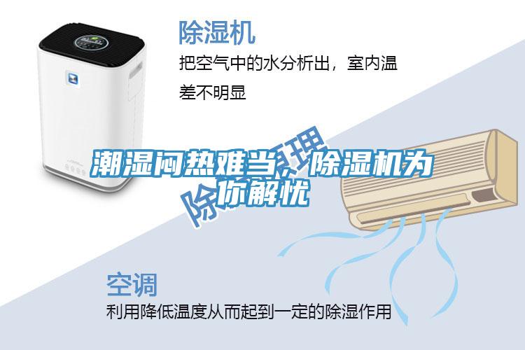 潮濕悶熱難當(dāng)，除濕機為你解憂