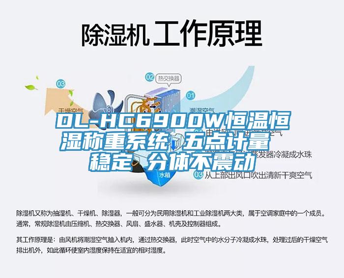 DL-HC6900W恒溫恒濕稱重系統(tǒng) 五點計量 穩(wěn)定 分體不震動