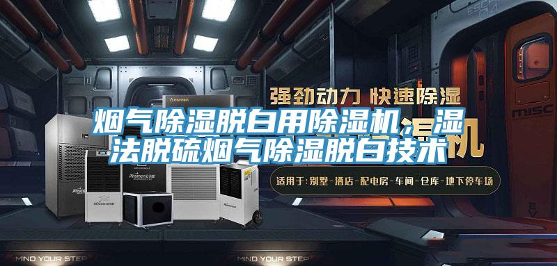 煙氣除濕脫白用除濕機，濕法脫硫煙氣除濕脫白技術