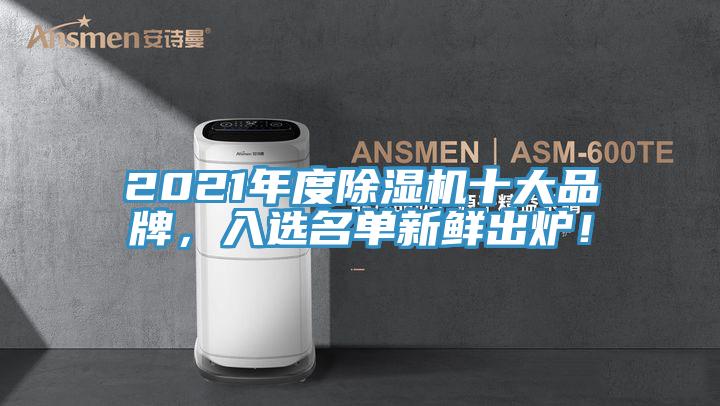 2021年度除濕機十大品牌，入選名單新鮮出爐！