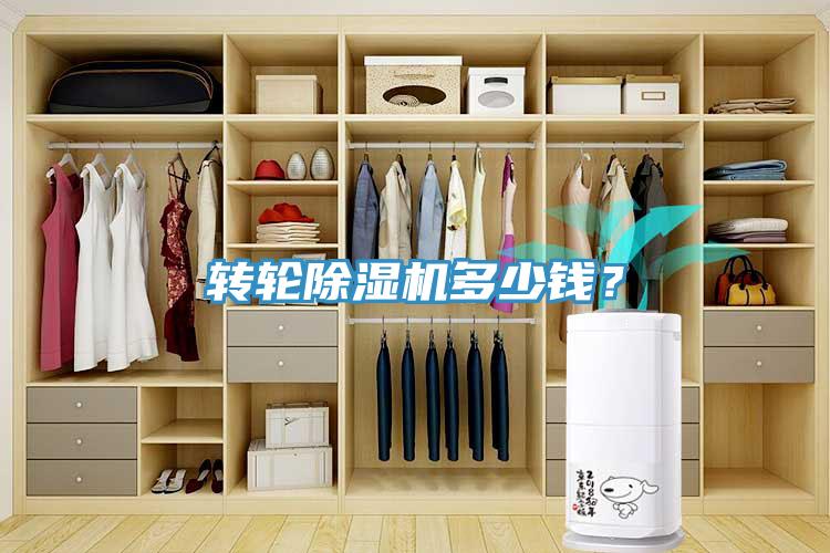 轉(zhuǎn)輪除濕機(jī)多少錢？
