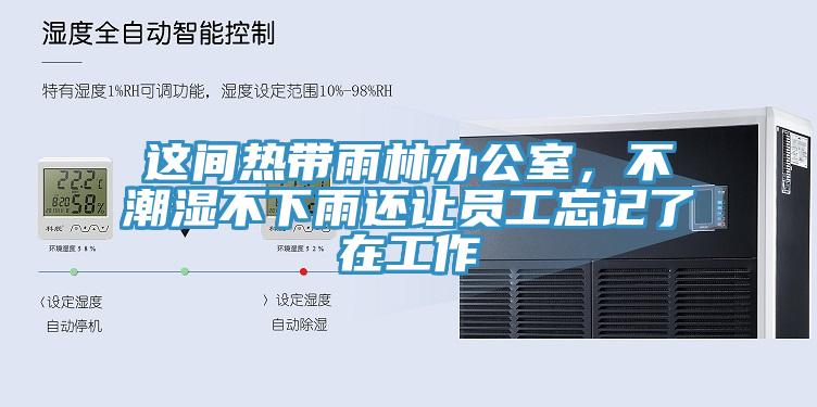 這間熱帶雨林辦公室，不潮濕不下雨還讓員工忘記了在工作