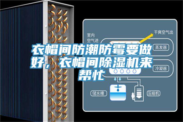 衣帽間防潮防霉要做好，衣帽間除濕機(jī)來(lái)幫忙