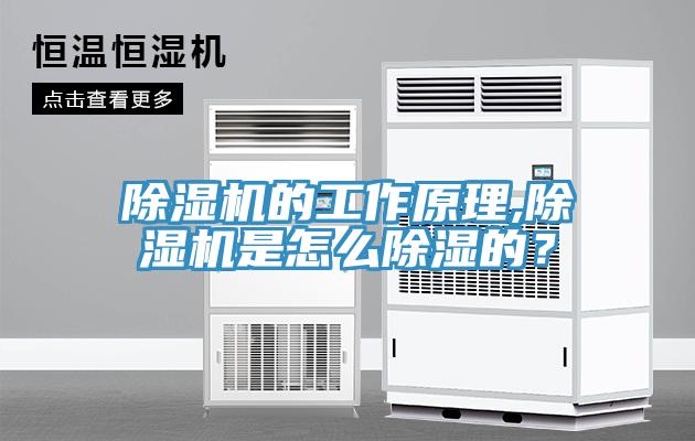 除濕機的工作原理,除濕機是怎么除濕的？