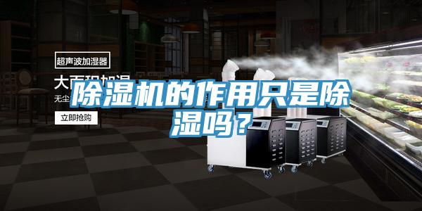 除濕機的作用只是除濕嗎？