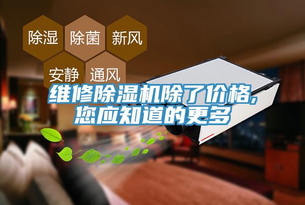 維修除濕機除了價格,您應知道的更多