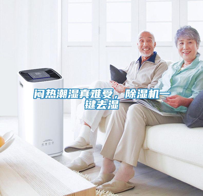 悶熱潮濕真難受，除濕機(jī)一鍵去濕