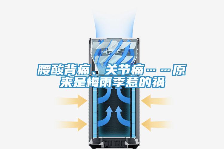 腰酸背痛、關(guān)節(jié)痛……原來是梅雨季惹的禍