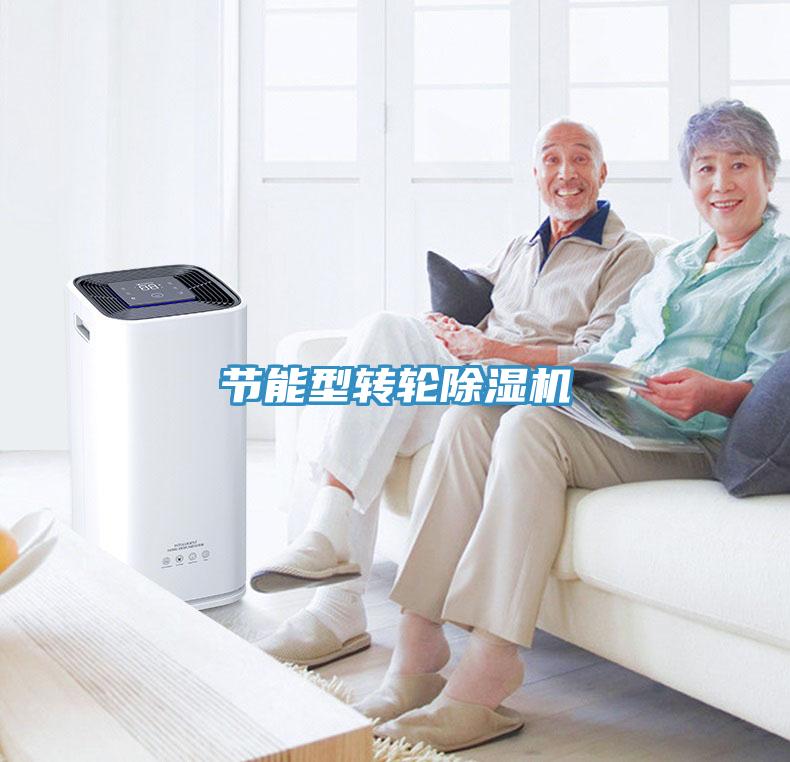 節(jié)能型轉(zhuǎn)輪除濕機
