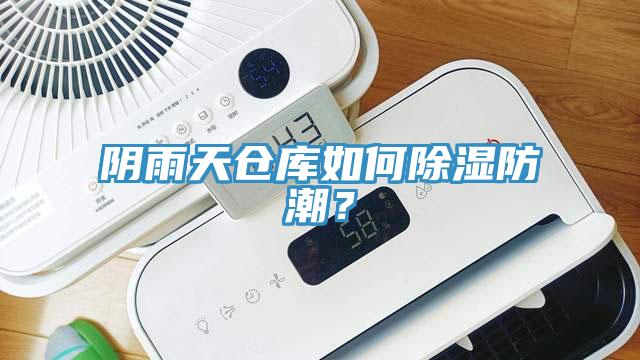 陰雨天倉庫如何除濕防潮？