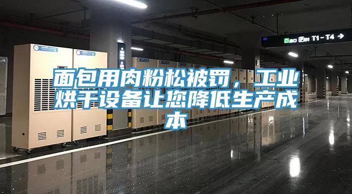 面包用肉粉松被罰，工業(yè)烘干設(shè)備讓您降低生產(chǎn)成本