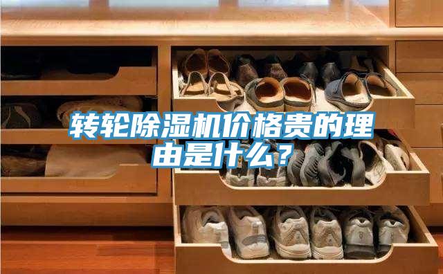轉(zhuǎn)輪除濕機(jī)價(jià)格貴的理由是什么？
