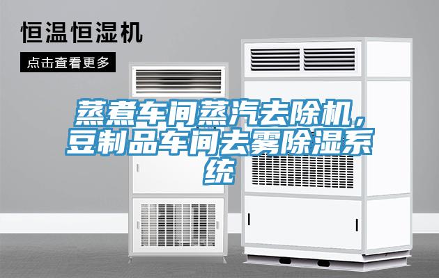 蒸煮車(chē)間蒸汽去除機(jī)，豆制品車(chē)間去霧除濕系統(tǒng)