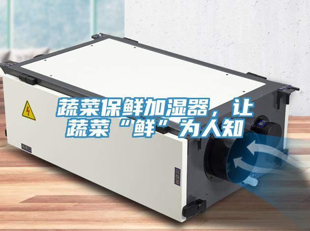 蔬菜保鮮加濕器，讓蔬菜“鮮”為人知