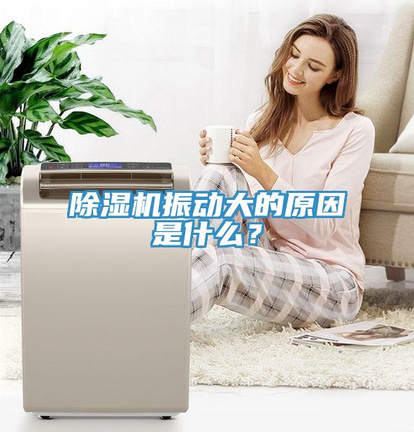除濕機振動大的原因是什么？