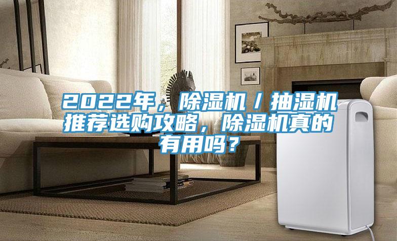 2022年，除濕機／抽濕機推薦選購攻略，除濕機真的有用嗎？