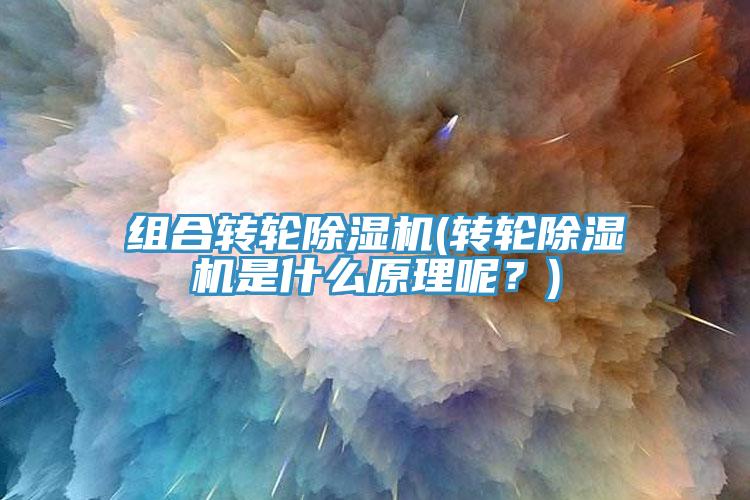 組合轉(zhuǎn)輪除濕機(轉(zhuǎn)輪除濕機是什么原理呢？)
