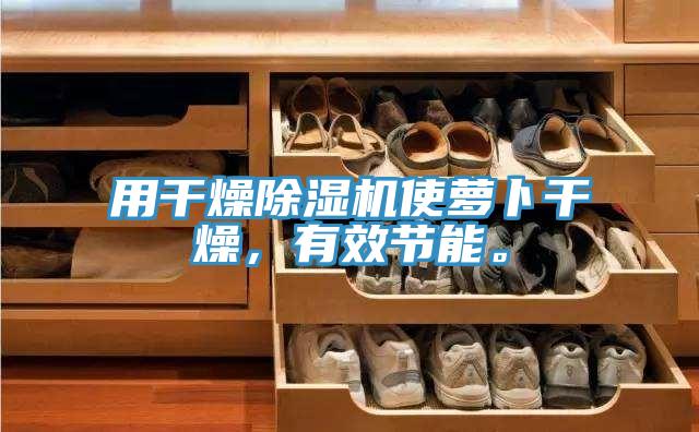 用干燥除濕機(jī)使蘿卜干燥，有效節(jié)能。
