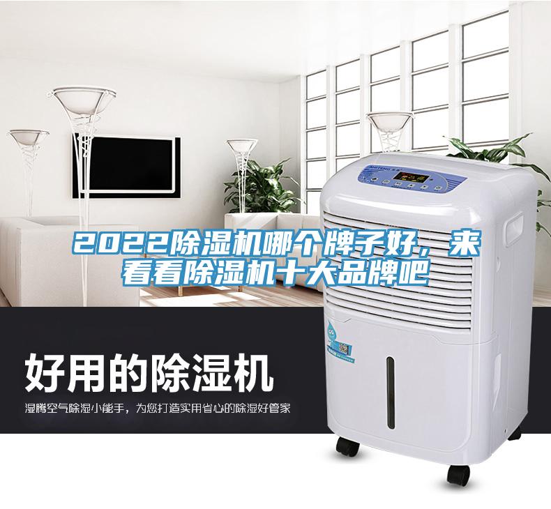 2022除濕機哪個牌子好，來看看除濕機十大品牌吧