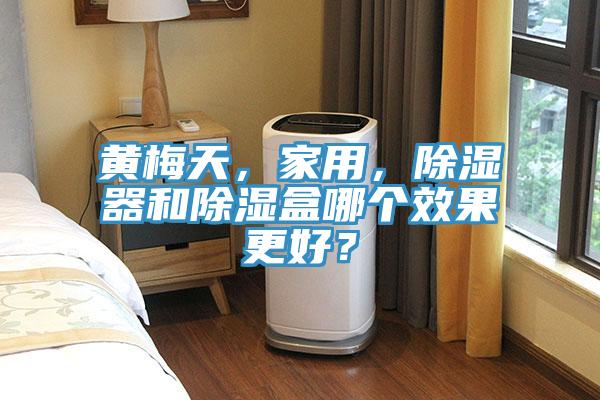 黃梅天，家用，除濕器和除濕盒哪個(gè)效果更好？