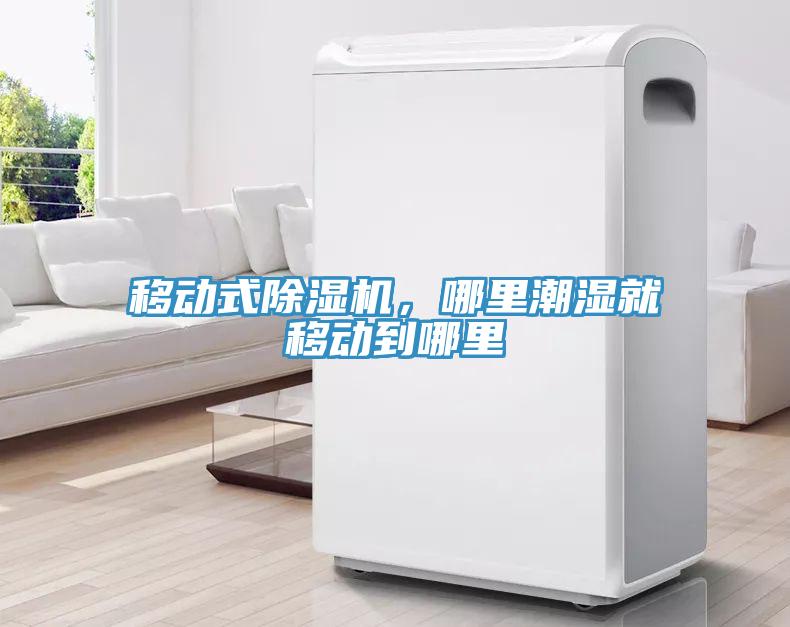 移動(dòng)式除濕機(jī)，哪里潮濕就移動(dòng)到哪里