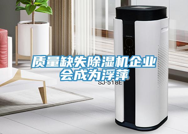 質(zhì)量缺失除濕機企業(yè)會成為浮萍