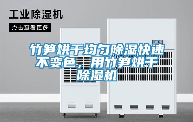 竹筍烘干均勻除濕快速不變色，用竹筍烘干除濕機