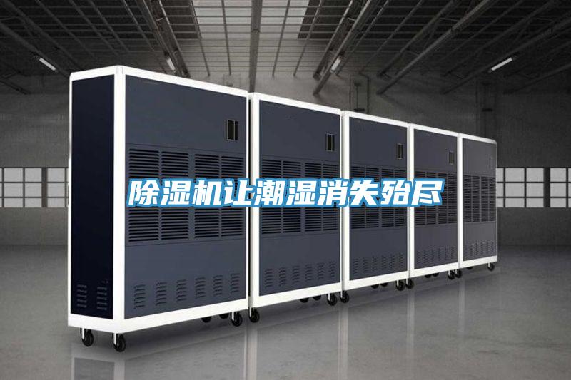 除濕機(jī)讓潮濕消失殆盡