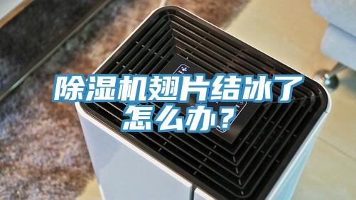 除濕機(jī)翅片結(jié)冰了怎么辦？
