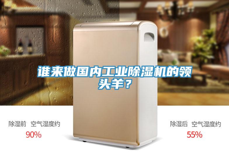 誰來做國內(nèi)工業(yè)除濕機(jī)的領(lǐng)頭羊？