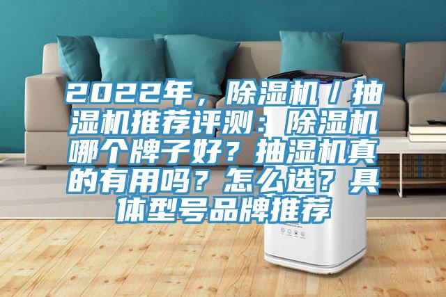 2022年，除濕機／抽濕機推薦評測：除濕機哪個牌子好？抽濕機真的有用嗎？怎么選？具體型號品牌推薦